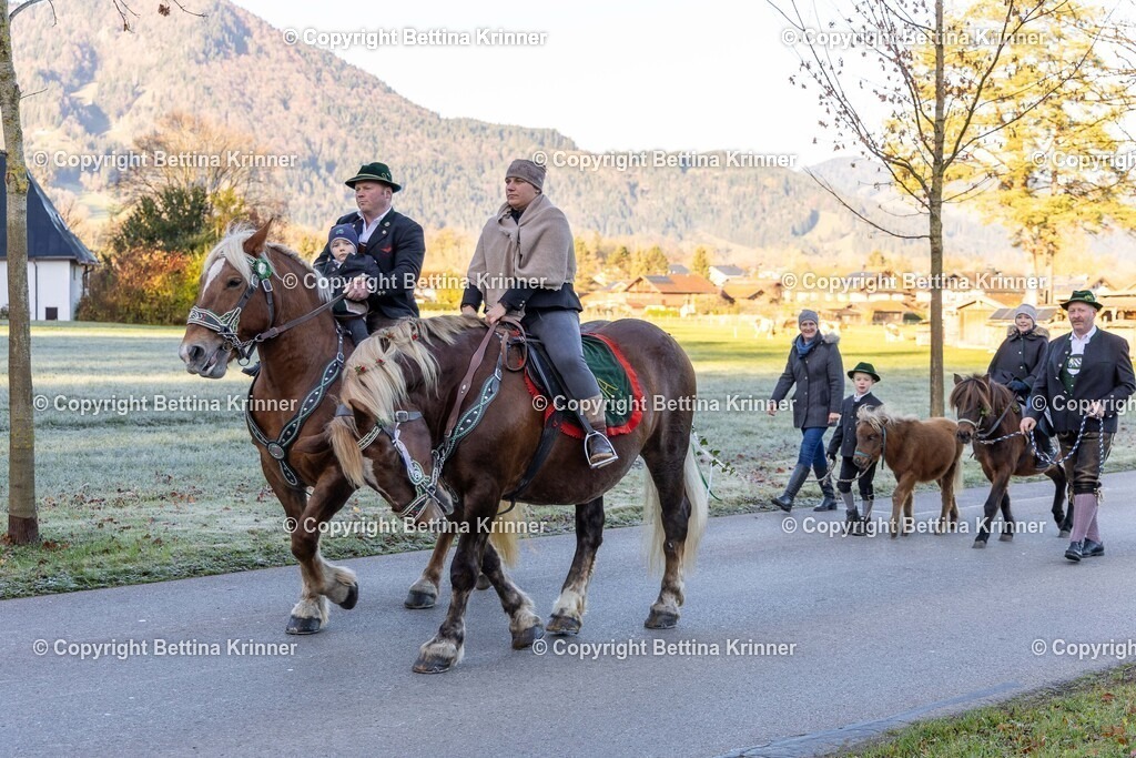 LL24-124 | foto-bettina-krinner - Realisiert mit Pictrs.com