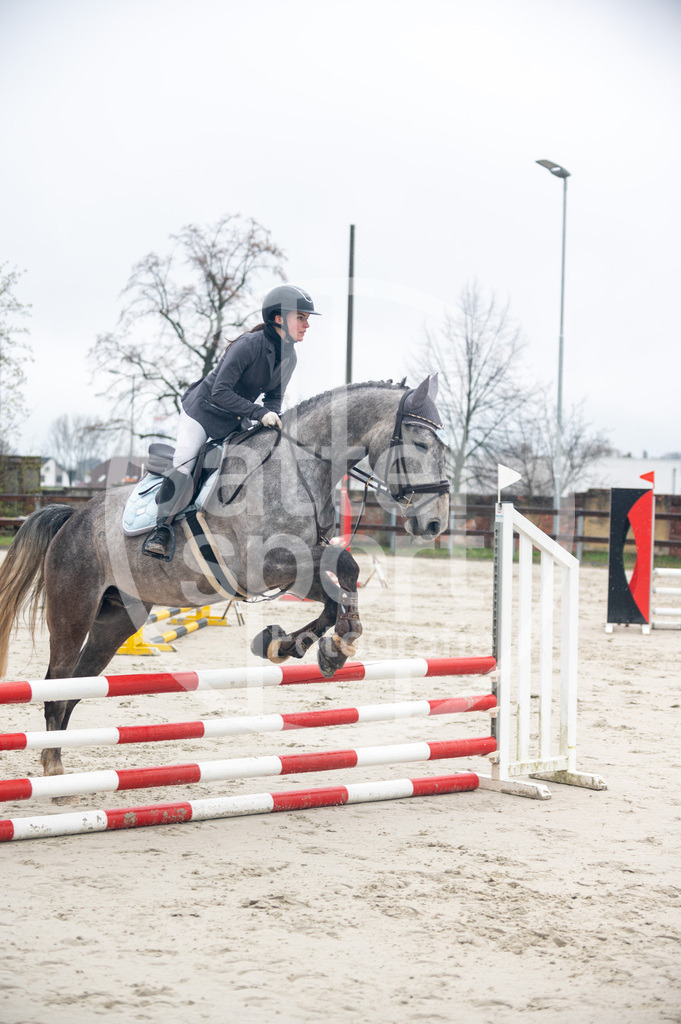 DSC_8585 | sattelsport - Realisiert mit Pictrs.com