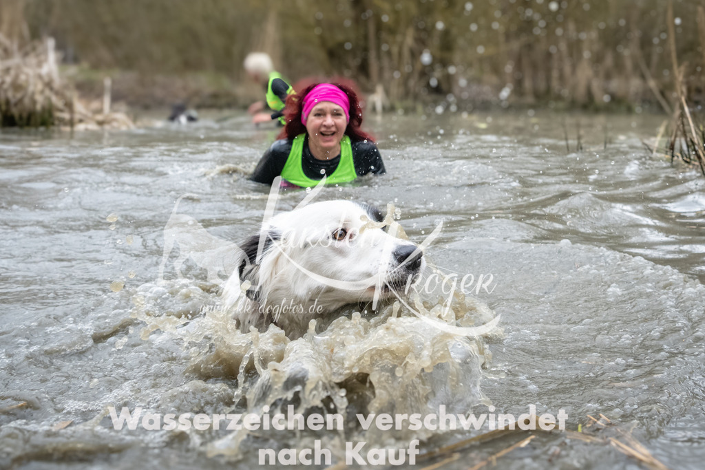 1111_ZZ96928 | kk-dogfotos