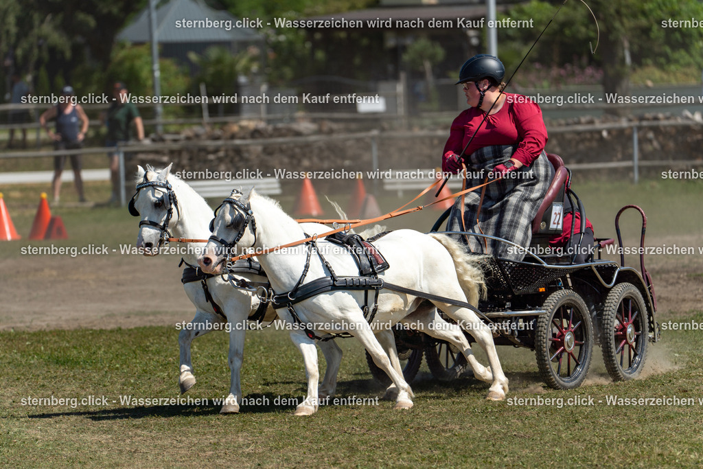 2026-08-09_11-50-28_WBO_Pulsnitz | sternberg.click - Realisiert mit Pictrs.com