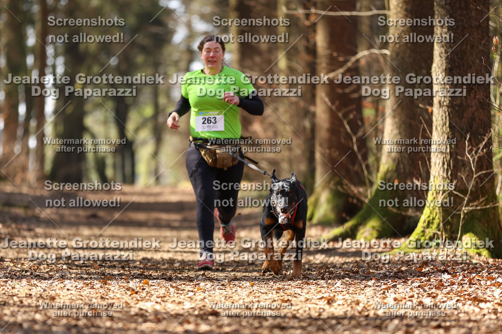 Dog Paparazzi - VCC26-1219 | Dog Paparazzi Jeanette Grottendiek Fotografie & Videografie - Realisiert mit Pictrs.com