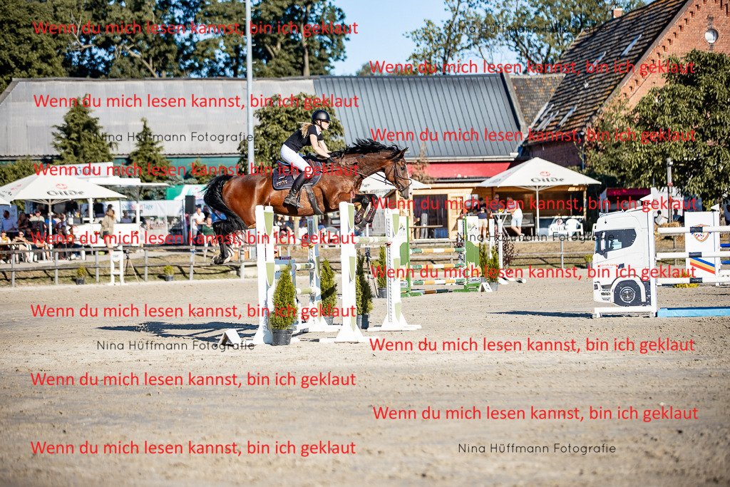 BK1A8333 | Turnierbilder Turnierfotos Nina Hüffmann Turnierfotografie Pferdefotografie Tierzeichnung Haustierzeichnung Pferdezeichnung Hundezeichnung Videograf  - Realisiert mit Pictrs.com