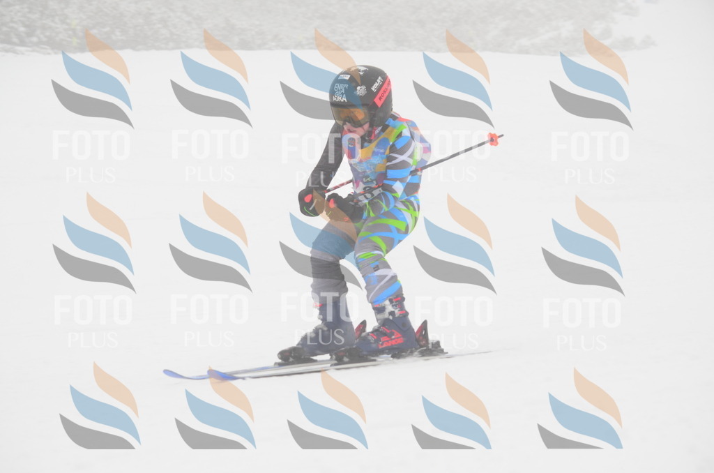 C0830 | holidayphoto