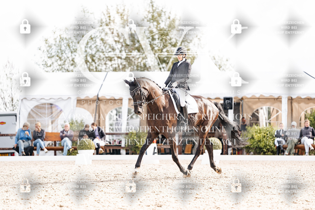 CK901729 | Turnierfotografie Pferdefotografie Trier Rheinland-Pfalz Pferdesport Reitsport Tierfotografie Sportfotografie Pferdevideo Pferdevideografie Equestrianvideography equestrianphotography  - Realisiert mit Pictrs.com