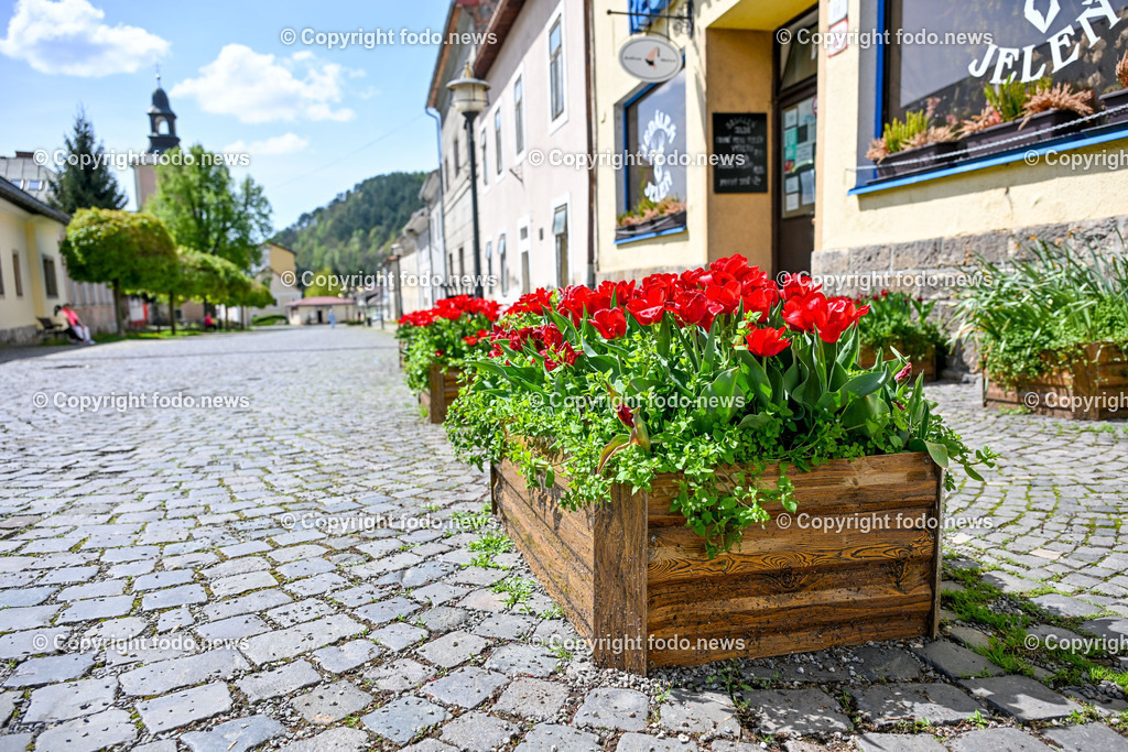 Slowakei_ Banskobystricky kraj_ Kremnica_ 23.04.2025-11 | 23.04.2025, Slowakei, SVK, Banskobystrický kraj, Kremnica, im Bild Kremnica ist eine Stadt und ehemalige Bergstadt in der Mittelslowakei, Stadtansichten, Themenbilder, Sehenswuerdigkeiten, Historische Gebauede