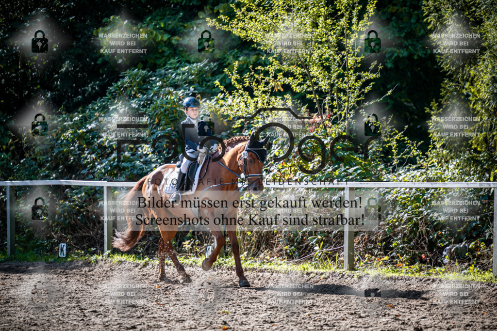 2026-10-Helle-20-4-0019 | Entdecke hochwertige Reitturnierfotos von Foto Oger. Professionell, emotional und authentisch – jetzt Lieblingsmomente im Shop bestellen.Deutschlandweite Turnierfotografie. - Realisiert mit Pictrs.com