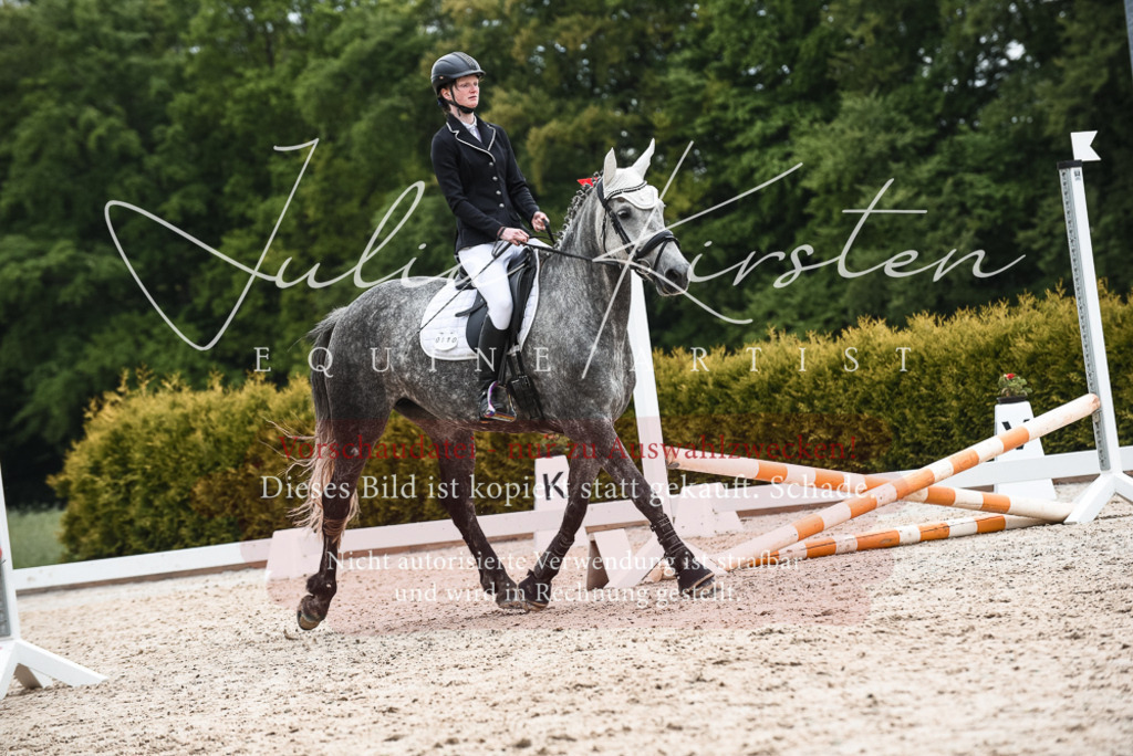 20230518_JK-Röhrsdorf-10-394 | Pferde- und Turnierfotografie in Westsachsen. Pferdeportraits, Auftragszeichnungen und intuitive Kunst.