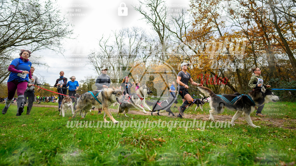 MompixPhotography_Bischwiller24_DI_CoursedeRelais-6 | PayLife