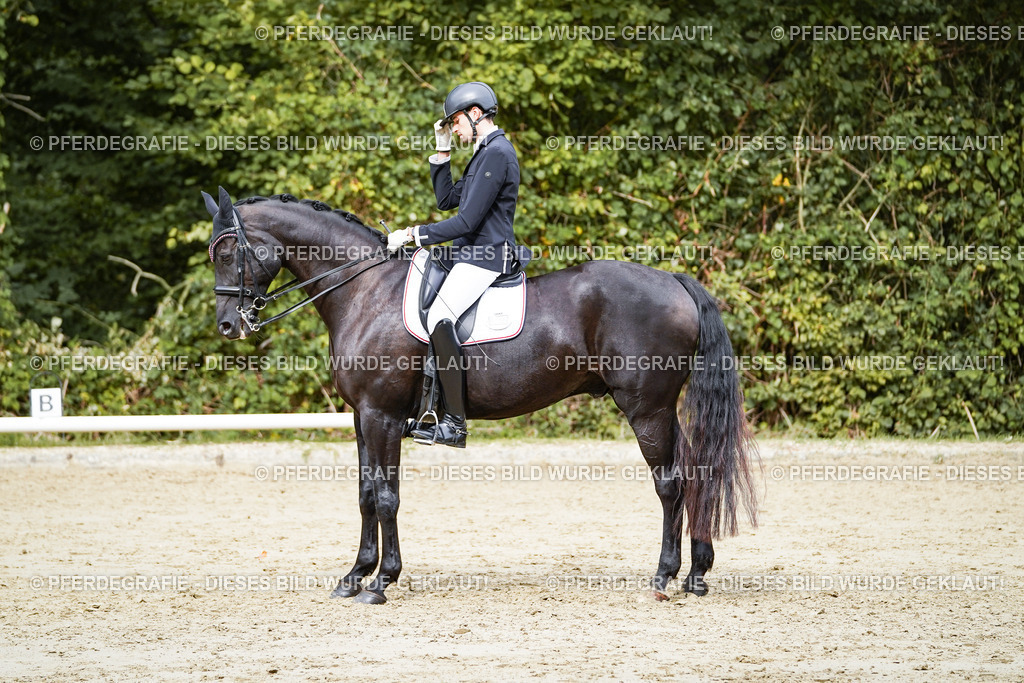 DSC05560 | Pferdegrafie