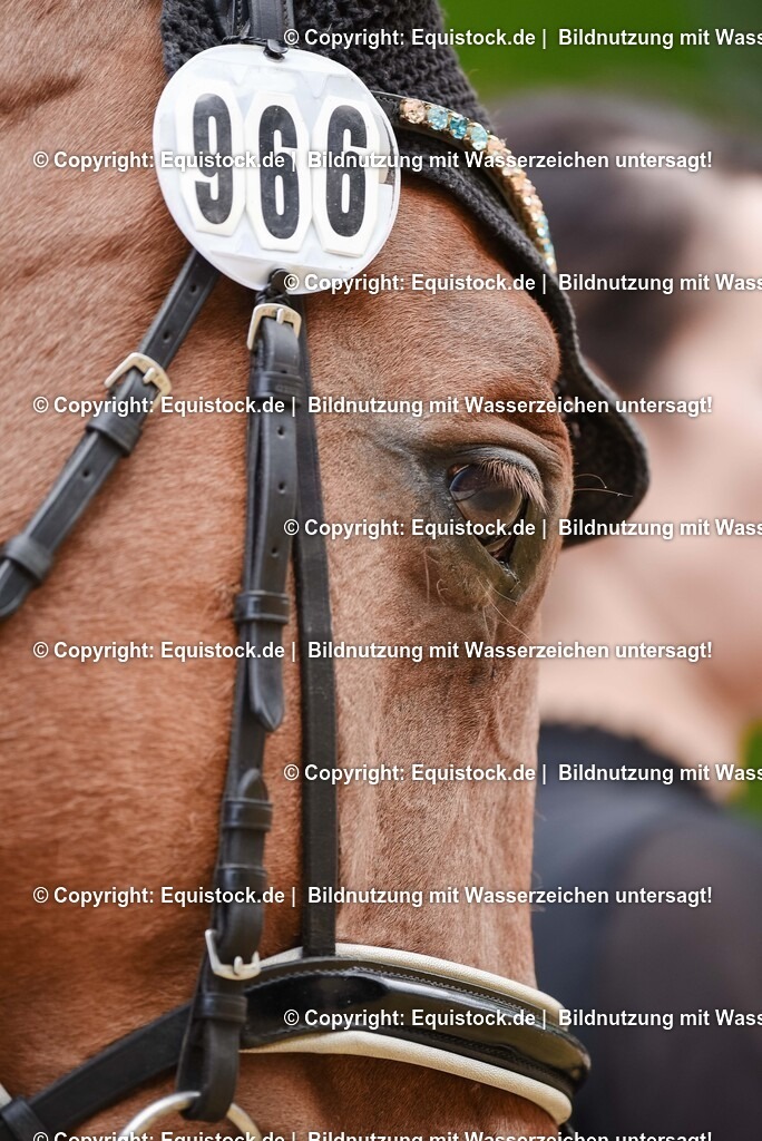 20250608_CVI-Masterclass_0563 | Foto: Thomas Hartig