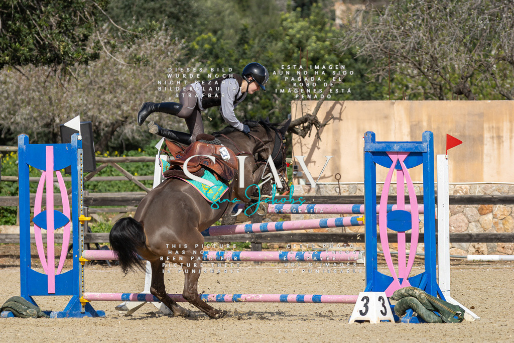 IMG_6747 | s-jay-photography - Realisiert mit Pictrs.com