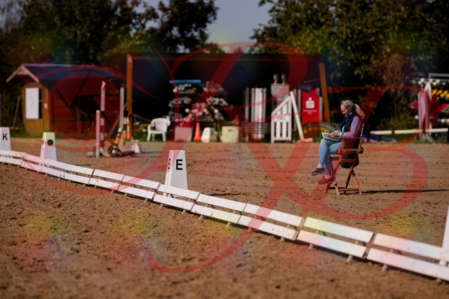 2026_10_03_Siefer-Hof_123312_Z81_31625303 | Professionelle Reitsport-, Turnier- und Eventfotografie von Robert Broda. Galerien mit ausgewählten und bearbeiteten Bildern direkt online ansehen und bestellen.