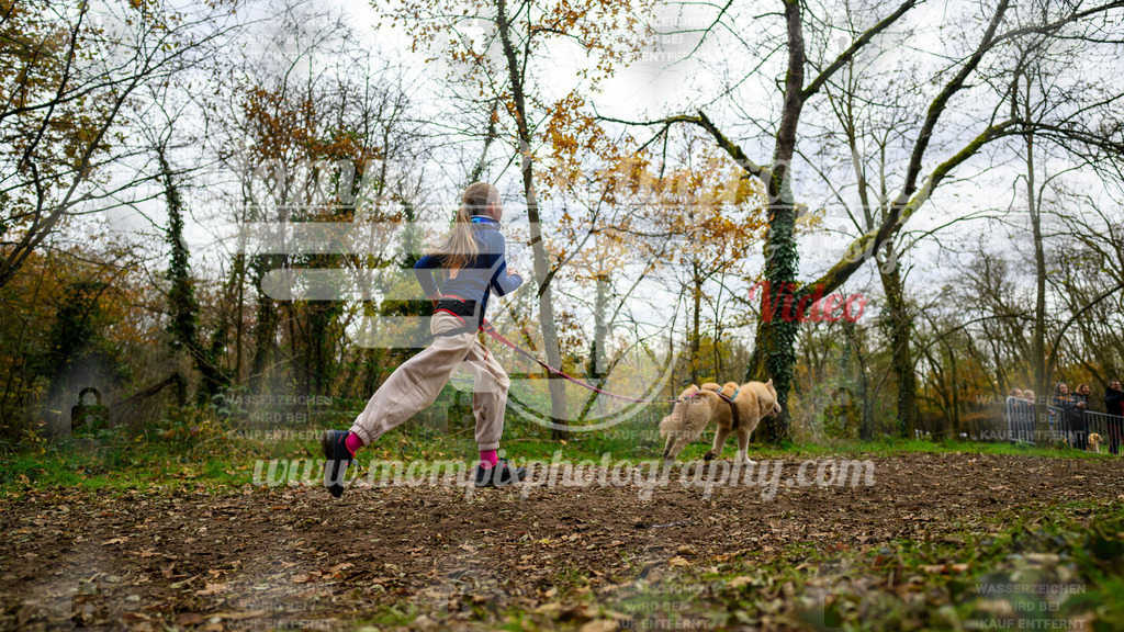 MompixPhotography_Bischwiller24_DI_CoursedeRelais-50 | PayLife