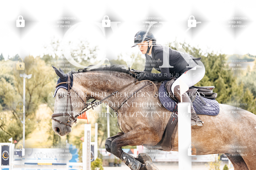 CK909004 | Turnierfotografie Pferdefotografie Trier Rheinland-Pfalz Pferdesport Reitsport Tierfotografie Sportfotografie Pferdevideo Pferdevideografie Equestrianvideography equestrianphotography  - Realisiert mit Pictrs.com