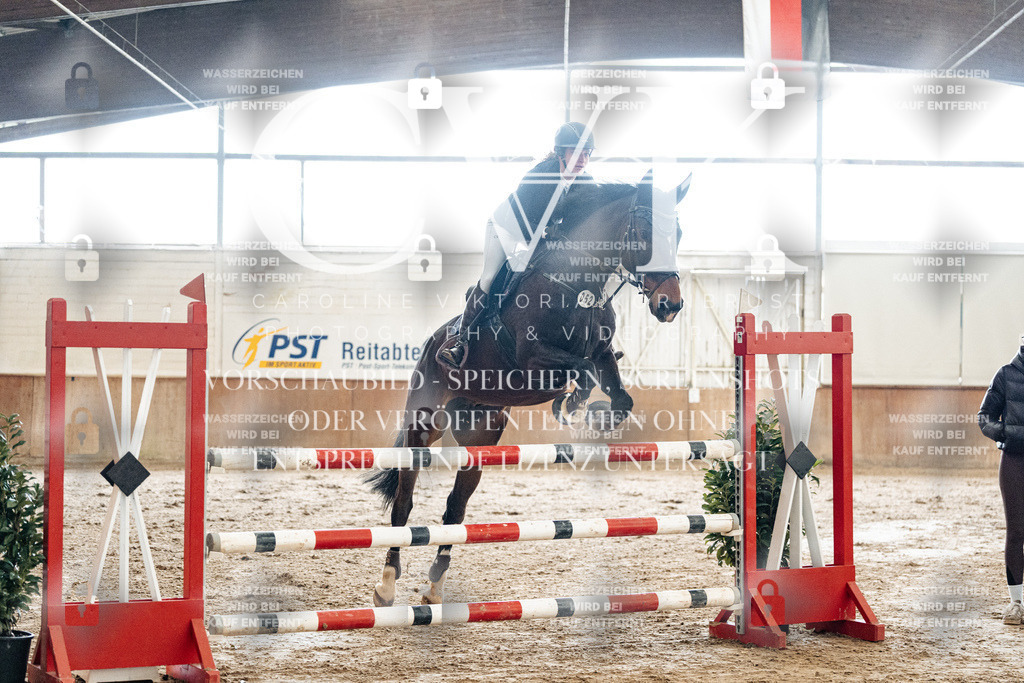 CK906239 | Turnierfotografie Pferdefotografie Trier Rheinland-Pfalz Pferdesport Reitsport Tierfotografie Sportfotografie Pferdevideo Pferdevideografie Equestrianvideography equestrianphotography  - Realized with Pictrs.com