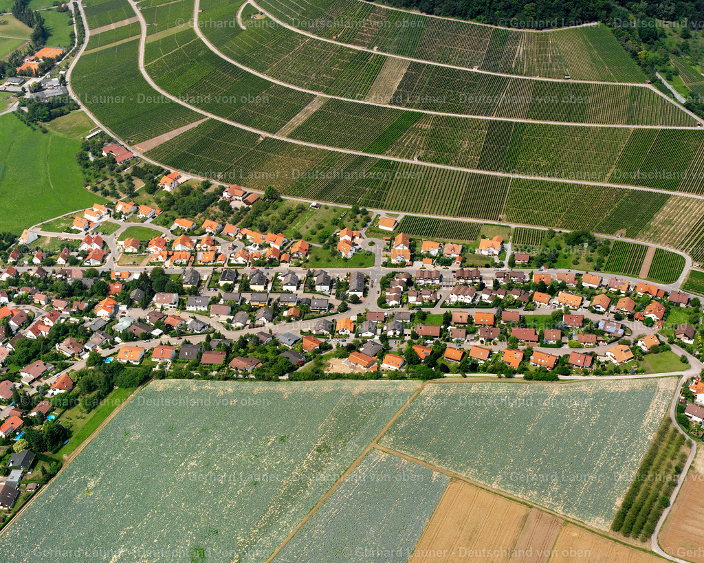 2500995 | Weinberge bei Eberstadt