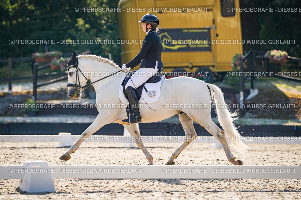 DSC08675 | Pferdegrafie