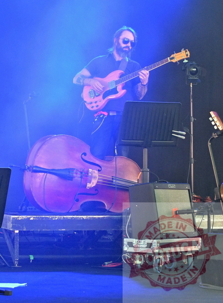Musician playing bass guitar on stage with double bass and amplifier | Bass guitarist performing live on a stage illuminated by blue lights, with a double bass and amplifier nearby - Realized with Pictrs.com