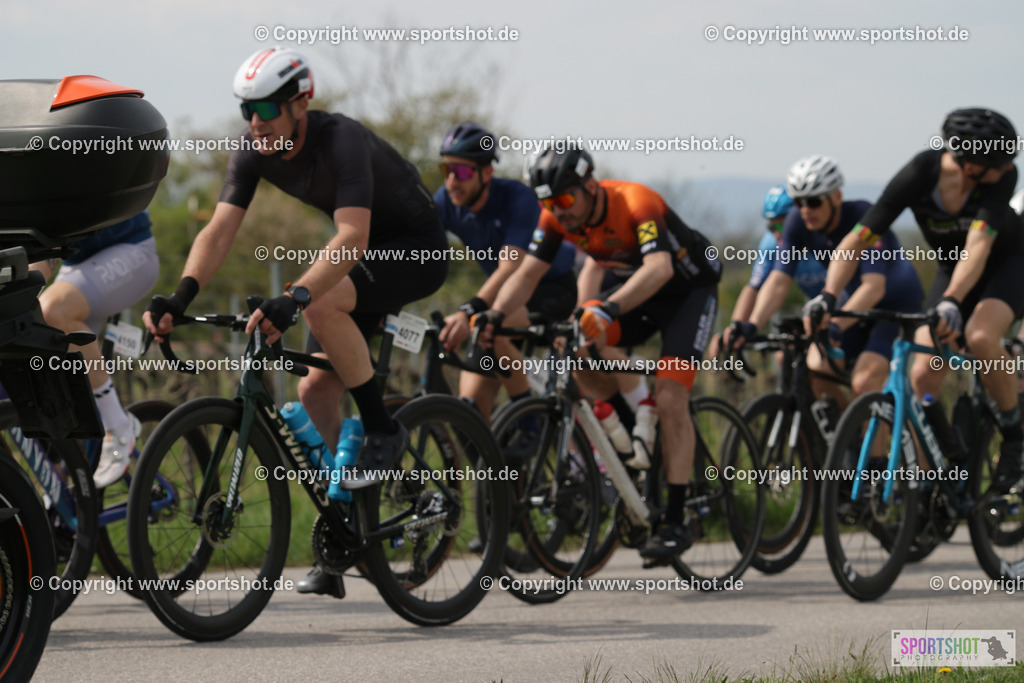 368A4641 | Neusiedlersee Radmarathon 2026@sportshot_your_pictrs #yourpictures#roadtowm2029 #nrm #neusiedlerseeradmarathon #neusiedlersee #neusiedlerseetourismus #burgenland #mörbisch #nrm26 #burgenlandtourismus #voglundco #poweredbyburgenlandtourismus #radsport #rad #marathon #ucigranfondo #visitburgenland #ucigranfondoworldseries