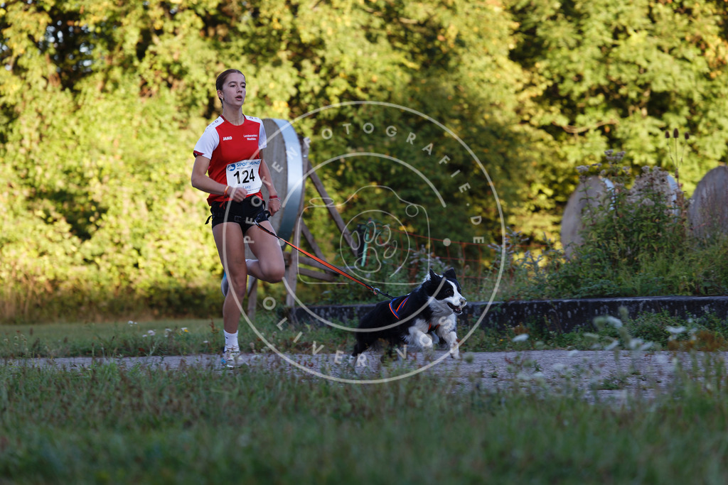 0L8A4413 | Hundefotografie, Tierfotograf, Pfotenfotografie, Fotoshooting Hund, Hunde Portrait, Hundesport, Hundeportraits, Heideshooting, Hunde, Sportfotograf, Hundefotograf, Turnierhundsport, THS,  - Realisiert mit Pictrs.com