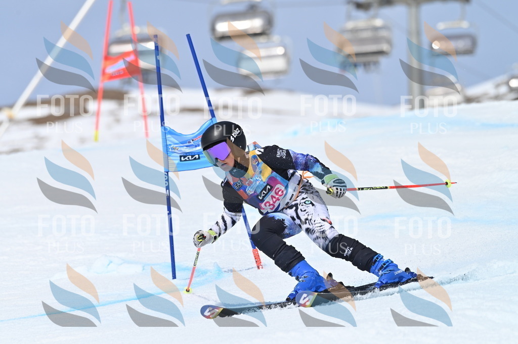 BGV_3570 | holidayphoto