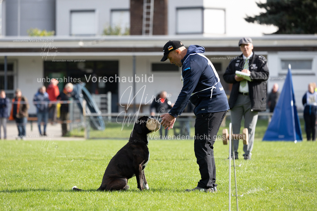 _16A6668 | Einzigartige Fotos von Hunden & Menschen –Actionfotos, Portraits, Vereinsaufnahmen & Paarshootings – authentisch, lebendig & mit Herz.