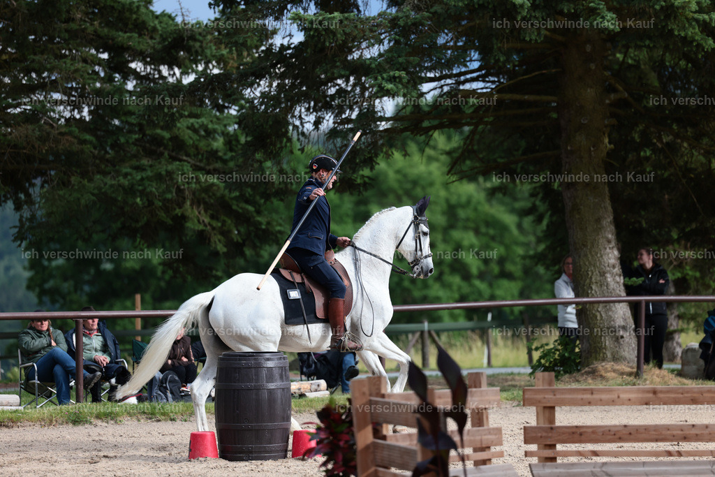 Masterclass_stoibphotography_C2_L6861.JPG | working equitationturnier fotograf videograf stoibphotography marixx film working equitation deutschland reitsport turnierfotografie eventfotografie equestrian events