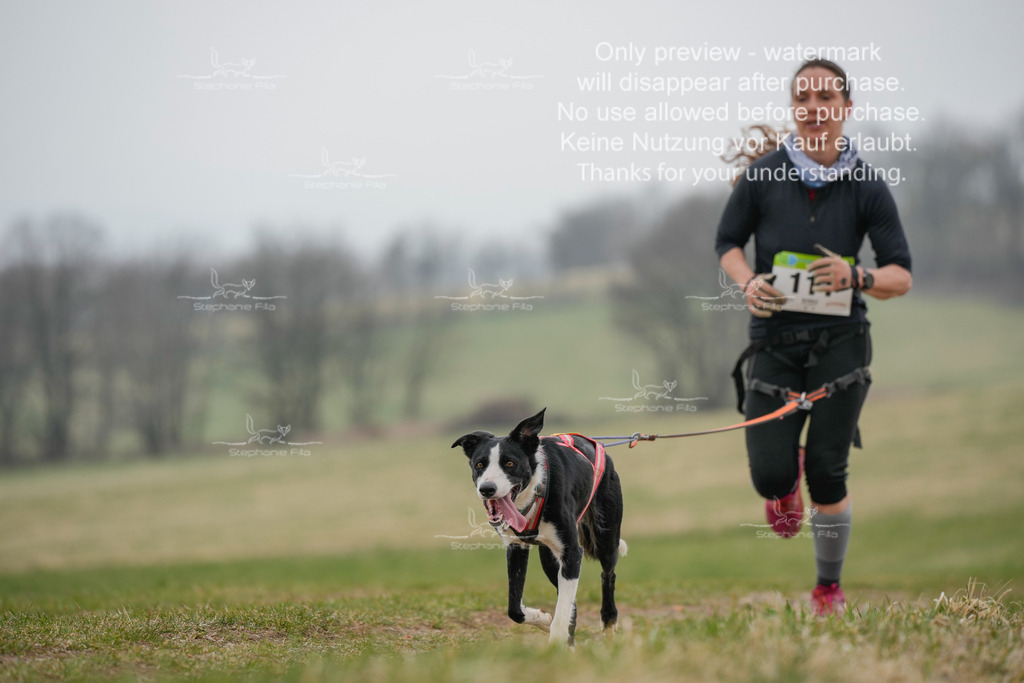 Canixlong-311 | stephaniefillaphotographie - Realisiert mit Pictrs.com