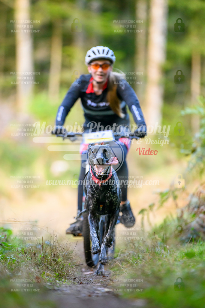 MompixPhotography_Yens2025_B3-37 | PayLife