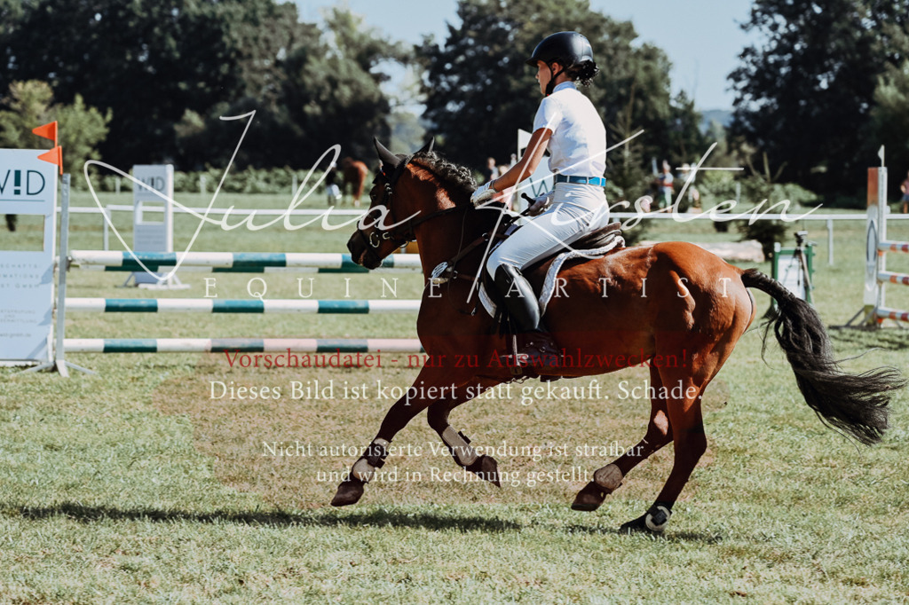 DSC_6175 | Pferde- und Turnierfotografie in Westsachsen. Pferdeportraits, Auftragszeichnungen und intuitive Kunst.