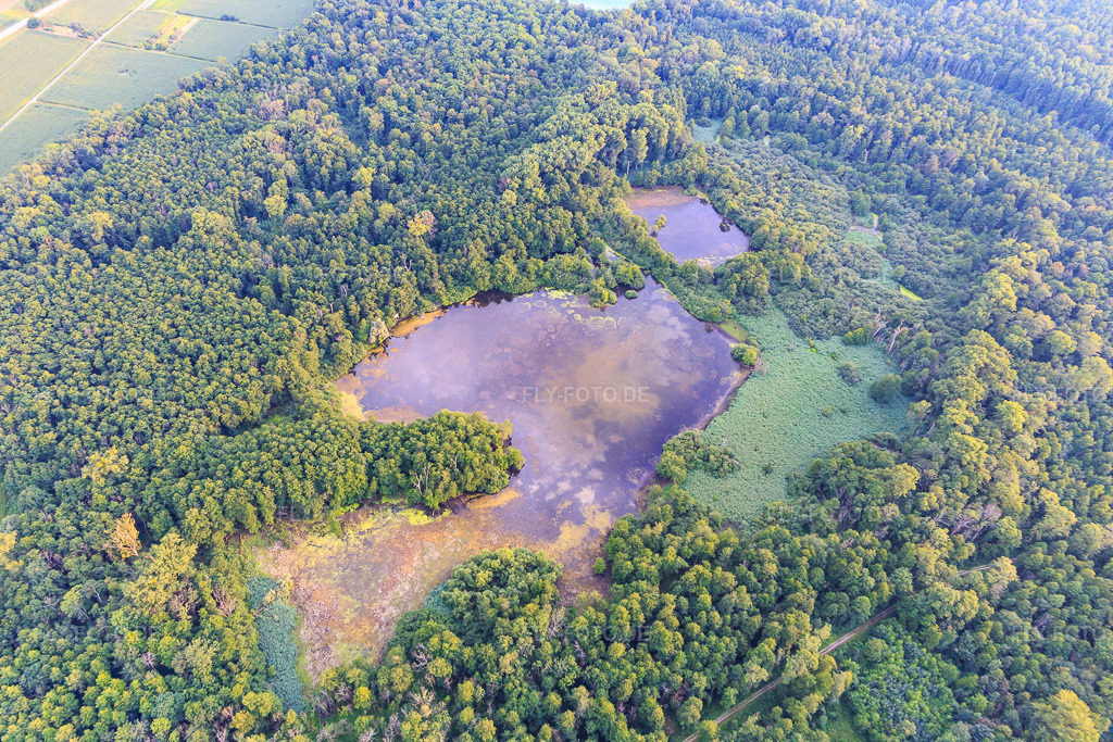 Luftbild: Weingartener Moor in Weingarten im Bundesland Baden-Württemberg in Deutschland. Foto: IMG_109109.jpg vom 19.07.2018 durch Werner Riehm/FLY-FOTO.de
