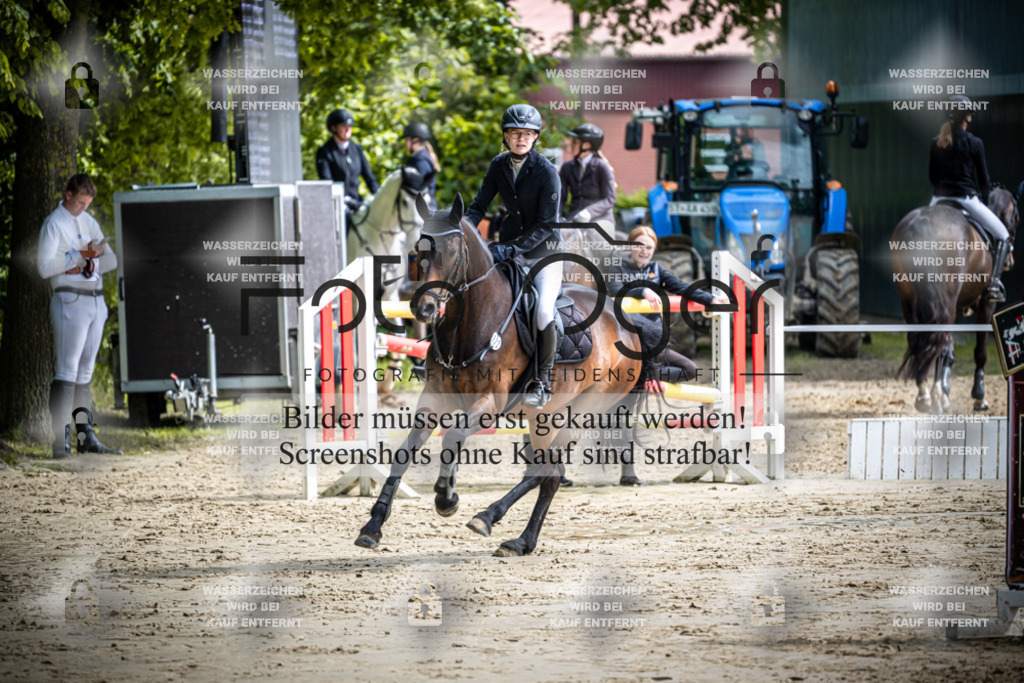 DOS_1274 | Reitturnier Lüdinghausen - Realisiert mit Pictrs.com