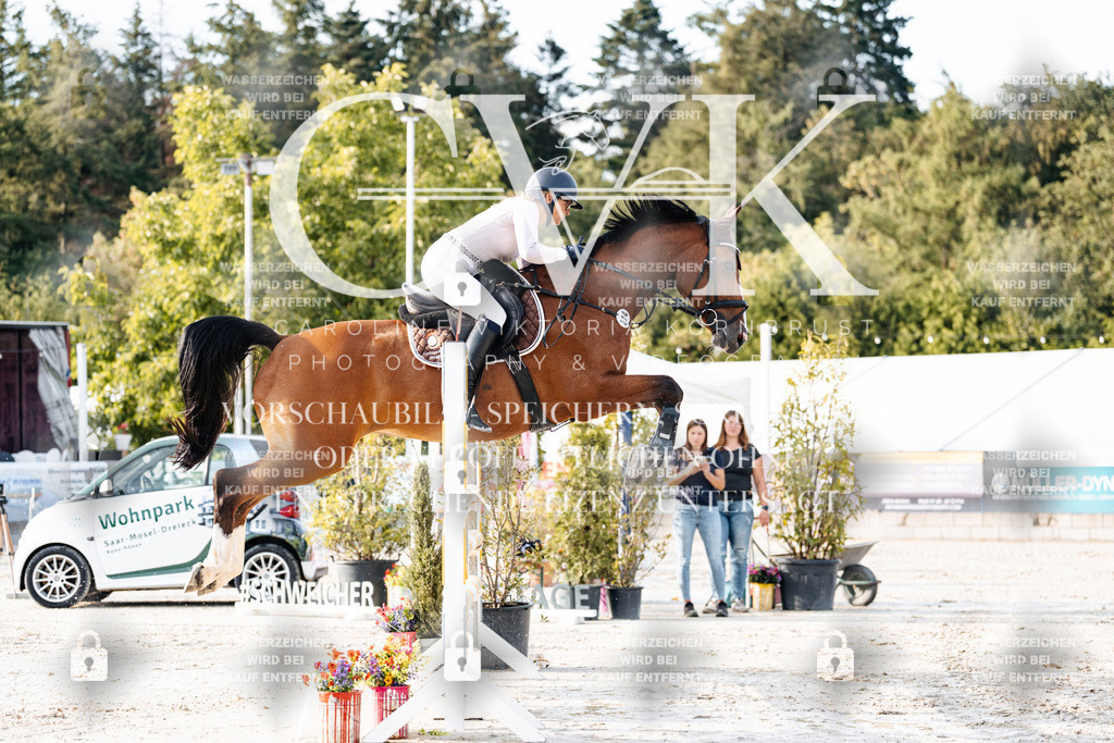 CK903317 | Turnierfotografie Pferdefotografie Trier Rheinland-Pfalz Pferdesport Reitsport Tierfotografie Sportfotografie Pferdevideo Pferdevideografie Equestrianvideography equestrianphotography  - Realisiert mit Pictrs.com