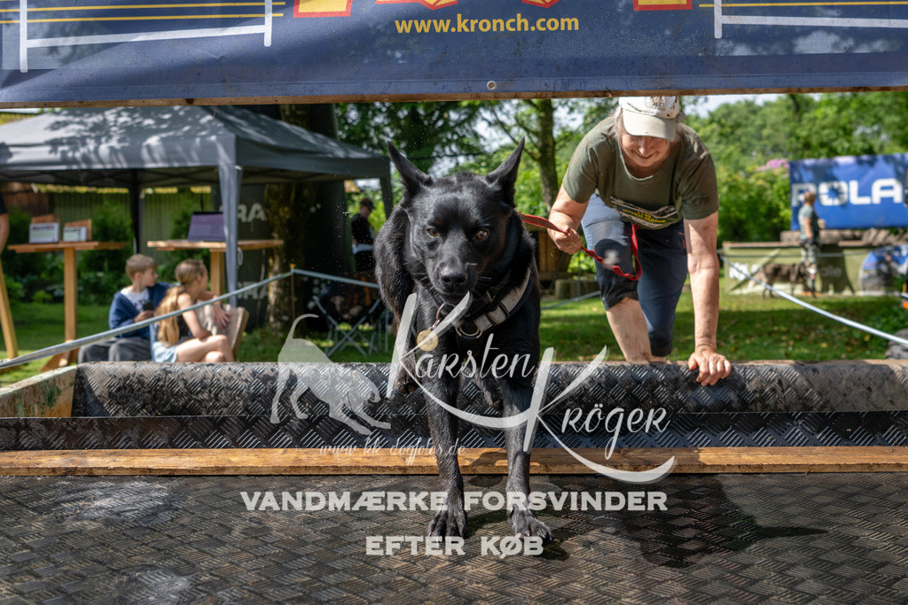 1105_ZZ92673 | kk-dogfotos