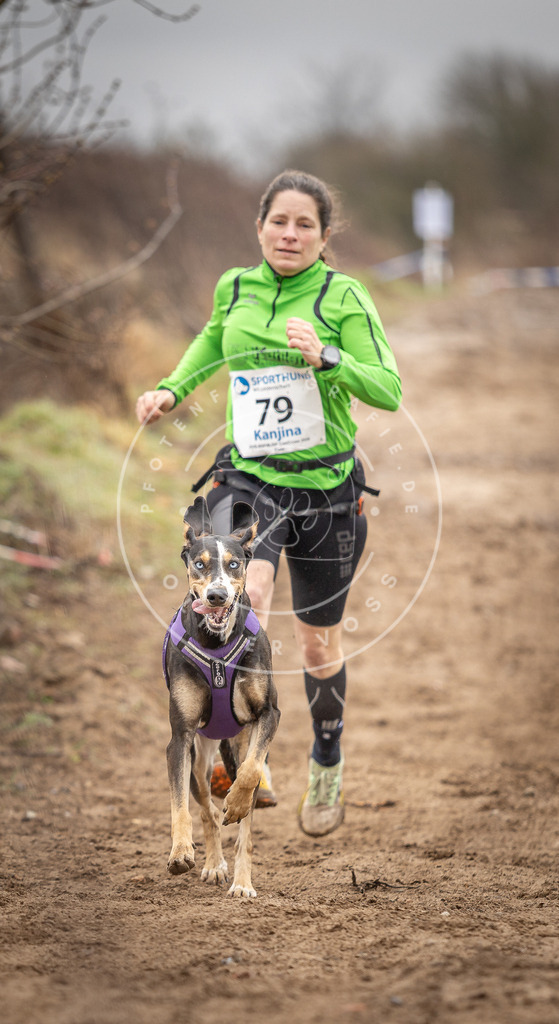 DV3A9837 | Hundefotografie, Tierfotograf, Pfotenfotografie, Fotoshooting Hund, Hunde Portrait, Hundesport, Hundeportraits, Heideshooting, Hunde, Sportfotograf, Hundefotograf, Turnierhundsport, THS,  - Realisiert mit Pictrs.com