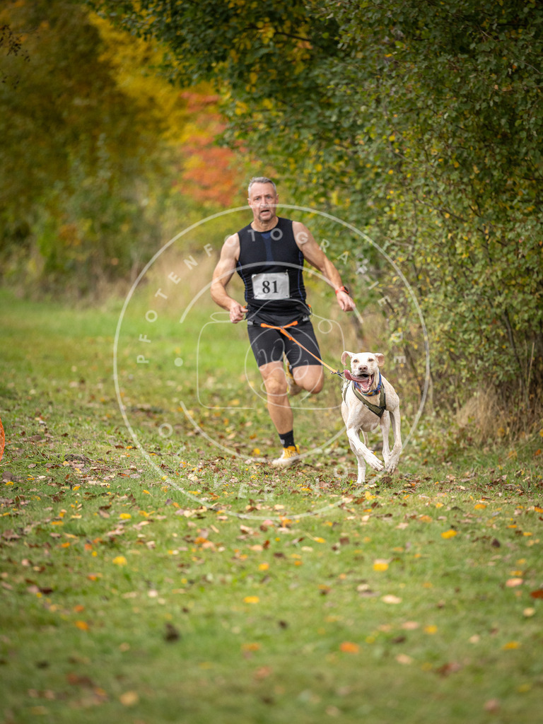 Pfotenfotografie_DV3A3043 | Hundefotografie, Tierfotograf, Pfotenfotografie, Fotoshooting Hund, Hunde Portrait, Hundesport, Hundeportraits, Heideshooting, Hunde, Sportfotograf, Hundefotograf, Turnierhundsport, THS,  - Realisiert mit Pictrs.com