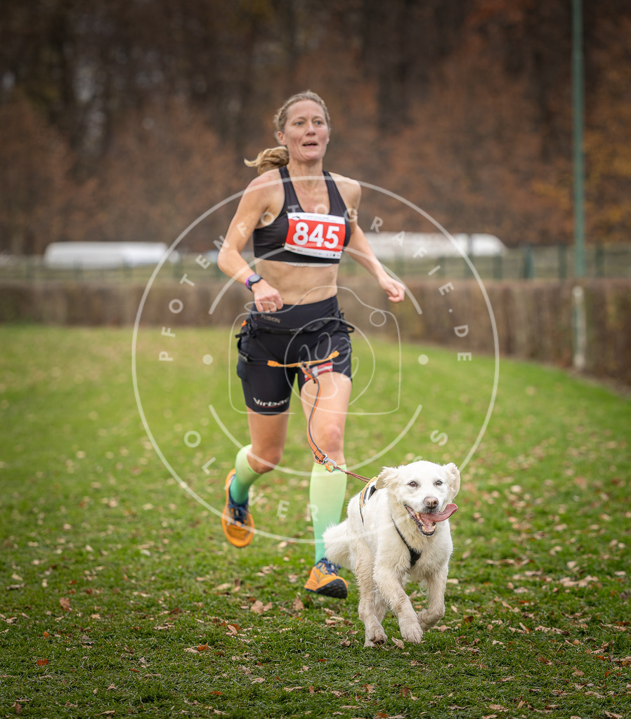 CaniXpix_DV3A6485 | Hundefotografie, Tierfotograf, Pfotenfotografie, Fotoshooting Hund, Hunde Portrait, Hundesport, Hundeportraits, Heideshooting, Hunde, Sportfotograf, Hundefotograf, Turnierhundsport, THS,  - Realisiert mit Pictrs.com