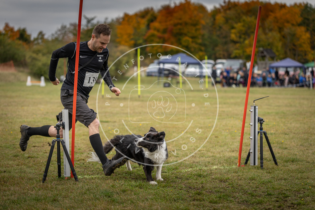 Pfotenfotografie_DV3A8305 | Hundefotografie, Tierfotograf, Pfotenfotografie, Fotoshooting Hund, Hunde Portrait, Hundesport, Hundeportraits, Heideshooting, Hunde, Sportfotograf, Hundefotograf, Turnierhundsport, THS,  - Realisiert mit Pictrs.com