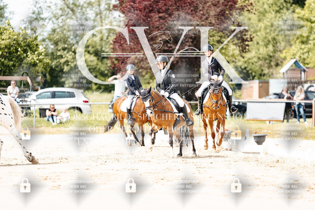 CK901725 | Turnierfotografie Pferdefotografie Trier Rheinland-Pfalz Pferdesport Reitsport Tierfotografie Sportfotografie Pferdevideo Pferdevideografie Equestrianvideography equestrianphotography  - Realisiert mit Pictrs.com