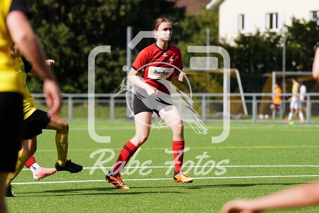 SON09270 | rabefotos