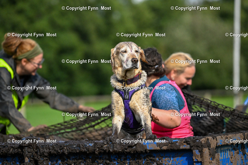 DSC_4269 | Hallo und herzlich Willkommen auf meiner Shop-Seite Fynn Most.

Ich wünsche Dir viel Spaß beim stöbern durch die Bilder, wenn Du Fragen hast oder Bilder vermisst, kannst du mir gerne eine Nachricht schreiben. - Realisiert mit Pictrs.com