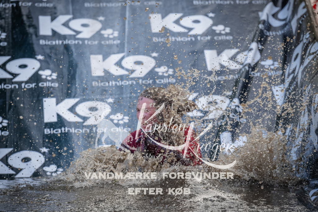 1527_ZZ94616 | kk-dogfotos