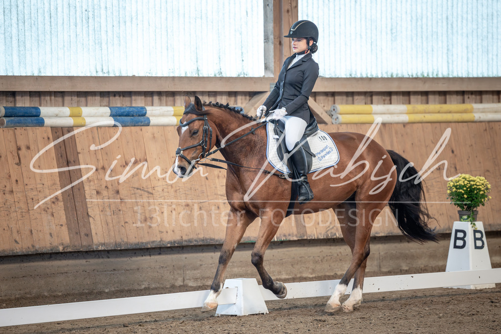 20251011-_3LI7987 | Tierfotografie Pferde, Hunde, Katzen, Haustiere.
Turnierfotografie Reitturniere, Reiten, Springreiten, Dressur in Hanau, dem Main-Kinzig-Kreis und dem Rhein-Main- Gebiet um Frankfurt