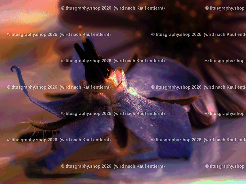 titusgraphy_P9281656_pe07-vz-ln | titusgraphy-shop: Geschenkideen mit Qualitätsfotos. titusgraphy-shop: gift ideas with quality photos. titusgraphy-shop: idées cadeaux avec photos de qualité.  - Realisiert mit Pictrs.com