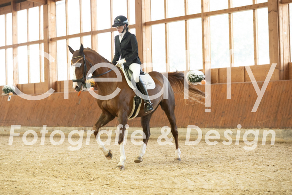 IMG_1417 | Creatify Fotografie