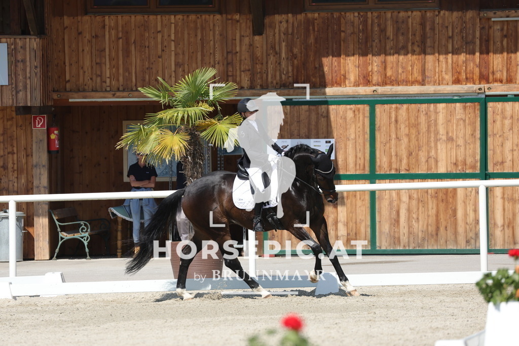 0P6A0645 | Willkommen bei Brunnmayr - Design & Fotografie – Ihrem Spezialisten für Reitturniere und Pferdeveranstaltungen in Oberösterreich, Salzburg und Bayern! Seit über 17 Jahren sind wir leidenschaftlich dabei.