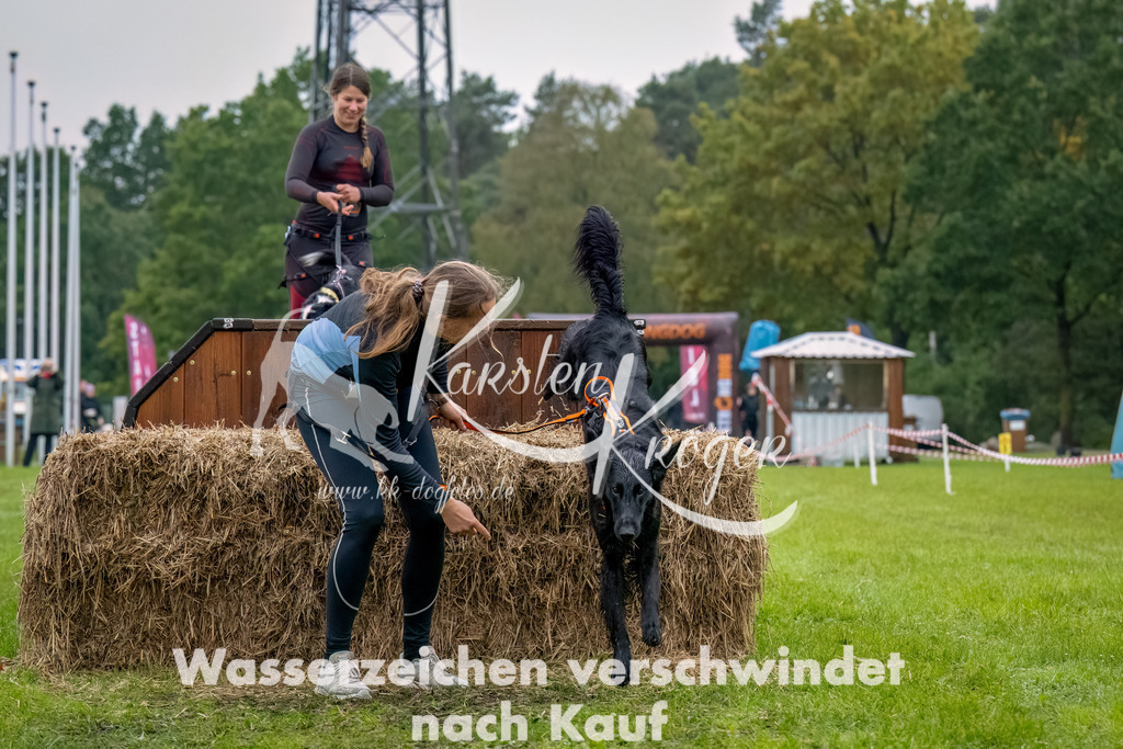 1028-2-6 | kk-dogfotos