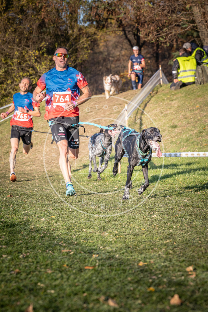 CaniXpix_0L8A0014 | Hundefotografie, Tierfotograf, Pfotenfotografie, Fotoshooting Hund, Hunde Portrait, Hundesport, Hundeportraits, Heideshooting, Hunde, Sportfotograf, Hundefotograf, Turnierhundsport, THS,  - Realisiert mit Pictrs.com