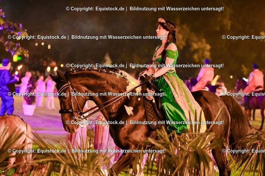 TS_20250606_Lange-Pferdenacht_1455 | Foto: Thomas Hartig