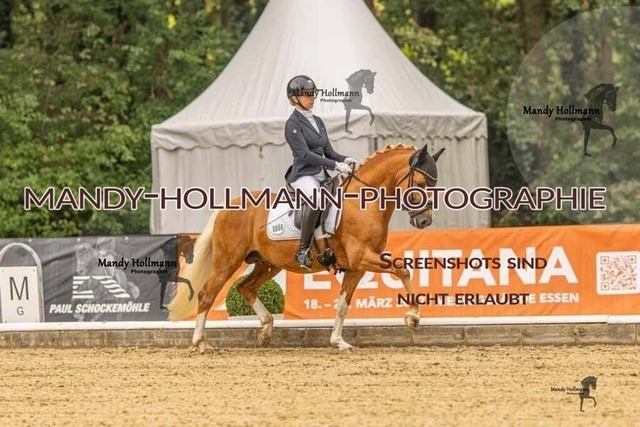 28-8-26 5j DRE-154 | mandyhollmannphotographie